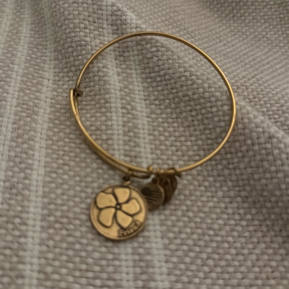 Alex and Ani Friend Bracelet